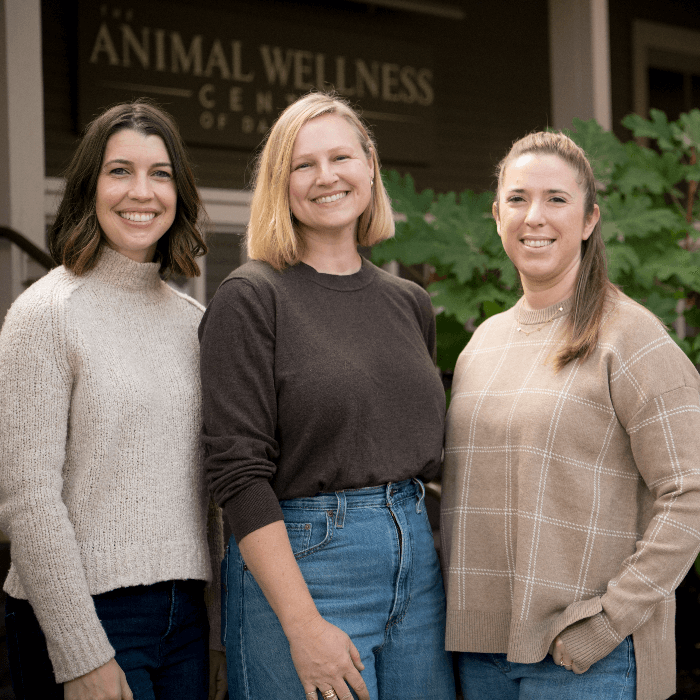 About Our Team Experts About Our Team Experts